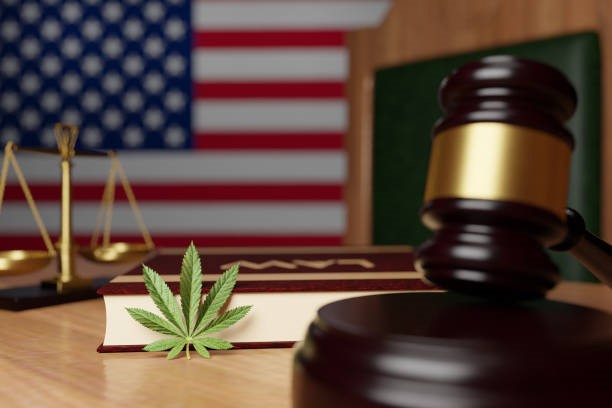 US drug law regarding Marijuana
